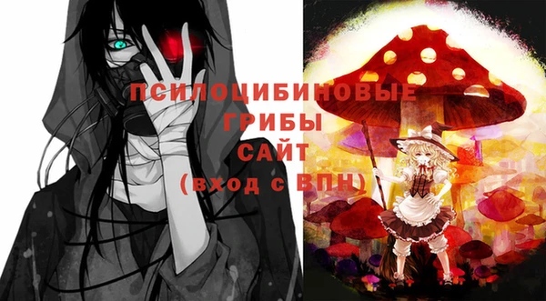 бошки Дмитриев